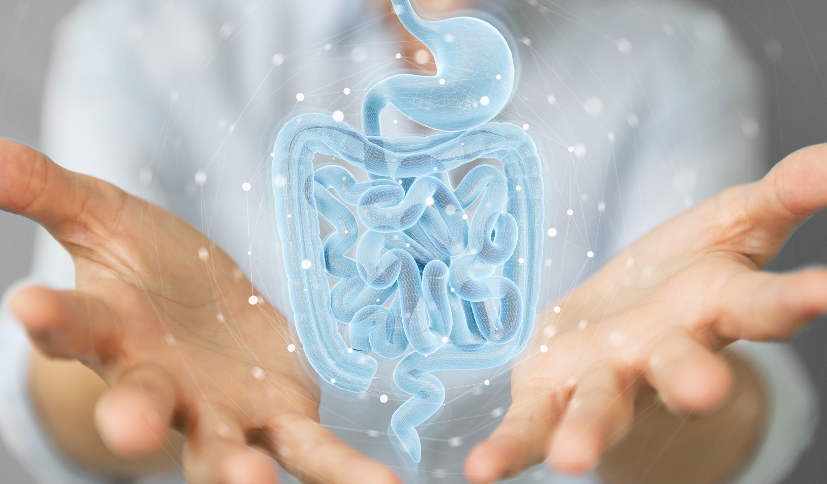 barriere intestinale